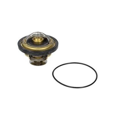 Termostat środka chłodzącego wa417479d